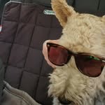Franziska Heller - @franziska.heller - Instagram