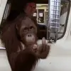 frankhenson379 - @frankhenson379 - TikTok