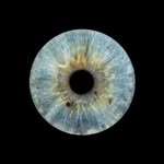 Frank Herbert - @frank_herbert73 - Instagram