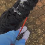 Fran - @fran.hermans - Instagram