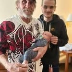 Fran Hillman - @franhillman - Instagram