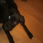 Frank Hillman - @frank.hillman.73744 - Instagram