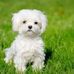 Fran Hinton - Facebook