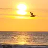 Frank Hinton - @frank.hinton5 - TikTok
