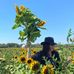 Fran Hoffman - Facebook