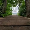 holtfran - @holtfran - TikTok