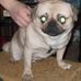Frank Houser - Facebook