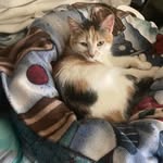 Fran Huber - @franhuber67 - Instagram