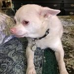 Fran Hurley - @hurley7082 - Instagram