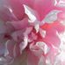Frances Ash Hurst - Facebook