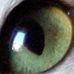 Fran Irwin - Facebook