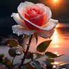 Frances Jacobson - @frances.jacobson3 - TikTok