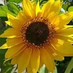 Fran Jenkins - @fran.jenkins.1000 - Instagram