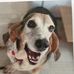 Fran Jensen - Facebook
