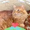Fran Jones - @fran.jones1 - TikTok