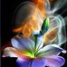 Fran Giarac - Facebook