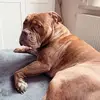 FranKaiser🦫 - @frankaiser24 - TikTok