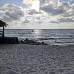 Frank Kearns - @will_call_ - Instagram
