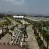 中国人不骗中国人 - @franci.kelsey - TikTok