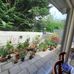 Frances Kenny - Facebook