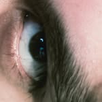Frank Hernandez 🧷👁 - @frank__eyes - Instagram