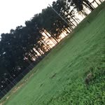 Kipper - @kipperfranklin__ - Instagram