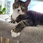 Fran Kirk - Facebook