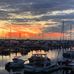 Fran Koenig - Facebook