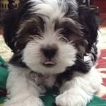 Fran Kramer - @fran.kramer.16 - Instagram