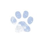 Fran Kramer - @unruffled_pups - Instagram
