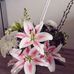 Fran Kramer - Facebook