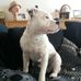 Fran Lacey - Facebook