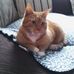 Frances Lacey - Facebook