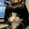 Frans123123321 - @franslarkin - TikTok