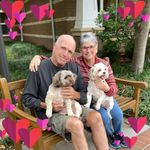 Fran Quint Lawrence - @franquintlawrence - Instagram