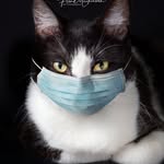 Fran - Pet Photographer - @fran_mackintosh_photography - Instagram
