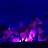franmannspamm - @franmannspamm - TikTok