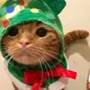 Frank McBride - @frank.mcbride32 - TikTok