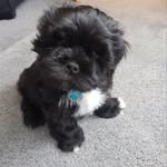 Fran mccarthy - @fr_an7885 - Instagram