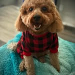 Frankie McDuffie - @banditrasta2 - Instagram