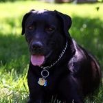Fran McLaughlin - @fran.mclaughlin.395 - Instagram