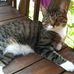 Fran McLaughlin - Facebook