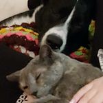 Fran McLaughlin - @franmclaughlin5608 - Instagram