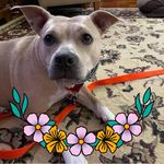 Fran Shepard McLaughlin - @mclaughlin.11117 - Instagram