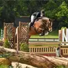 meredithfrank7 - @meredithfrank7 - TikTok