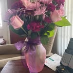 Fran Meyers - @franmeyers2 - Instagram
