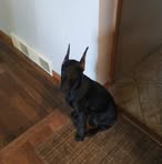 Fran Milton - Facebook