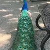 Fran Moreno - @fran.moreno928 - TikTok