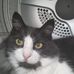 Fran Morgan - Facebook