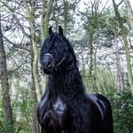 Fran Moss - @schleichlover_360 - Instagram